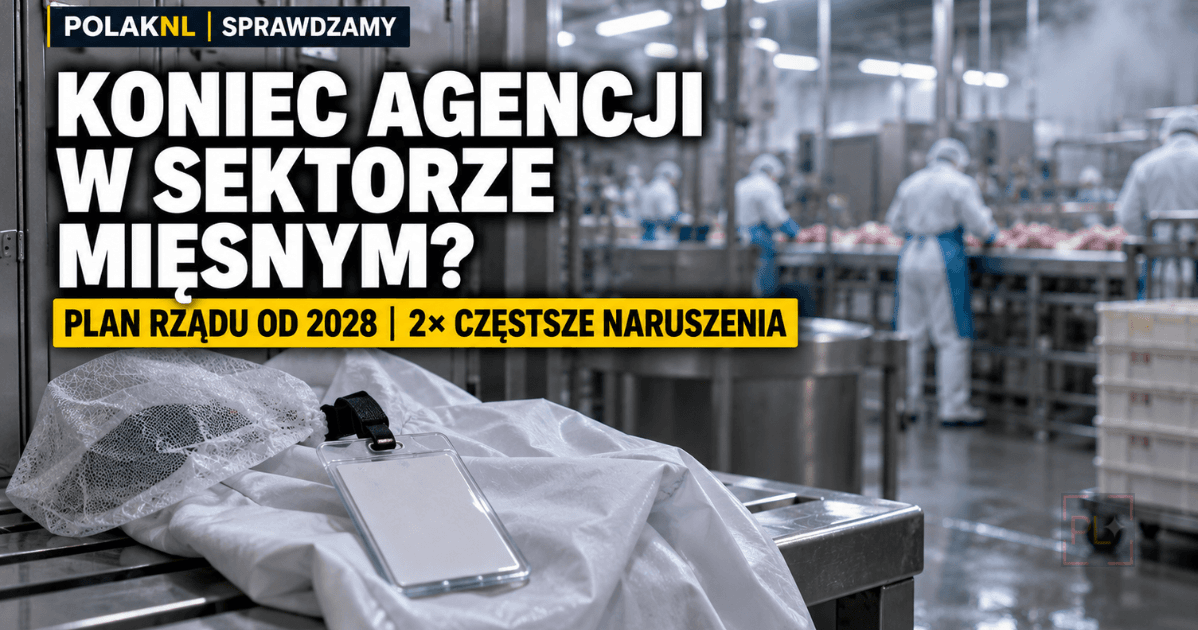 Koniec pracy agencyjnej w sektorze mięsnym? Plan rządu Holandii od 2028 r.