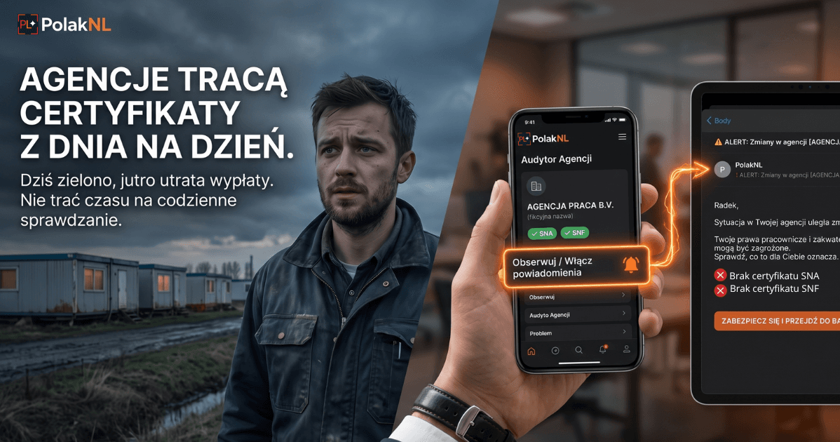 Myślisz, że jesteś bezpieczny? Uruchamiamy Cyfrowy Radar na nieuczciwe agencje!